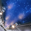 Fiber Optic Star Lights For Ceiling